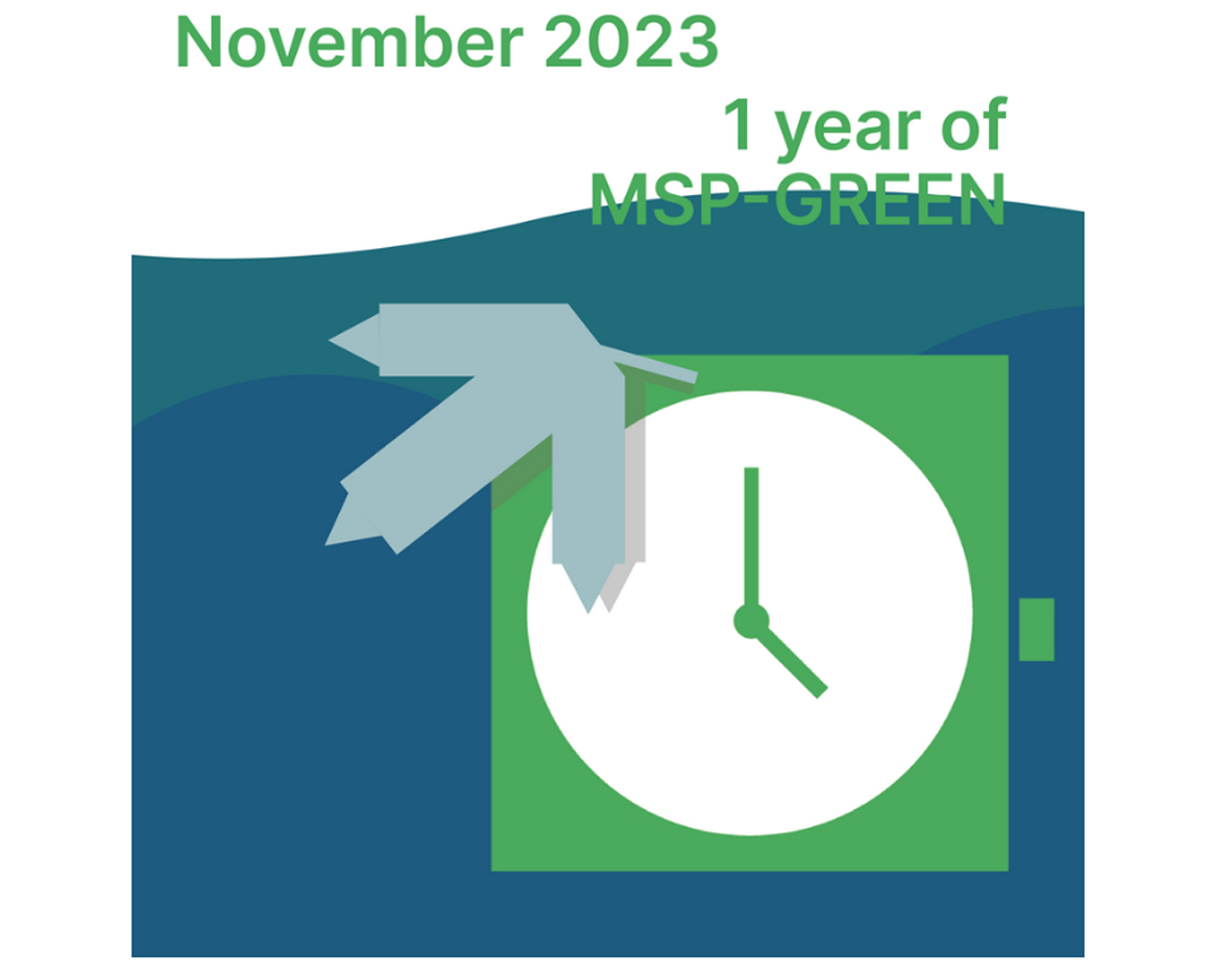 1 Year MSP GREEN