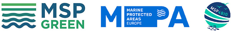 BRIDGING MARITIME SPATIAL PLANNING