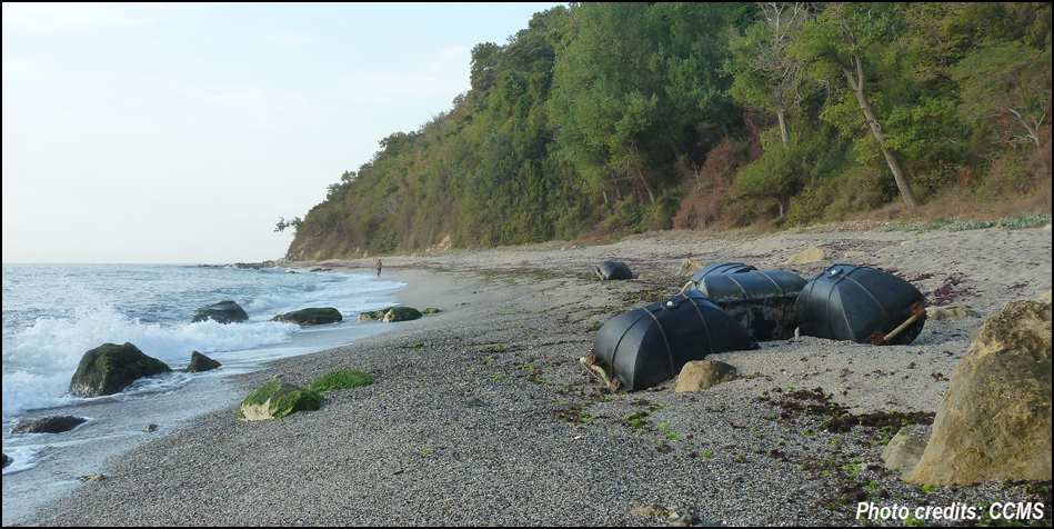 Beach Litter 2021