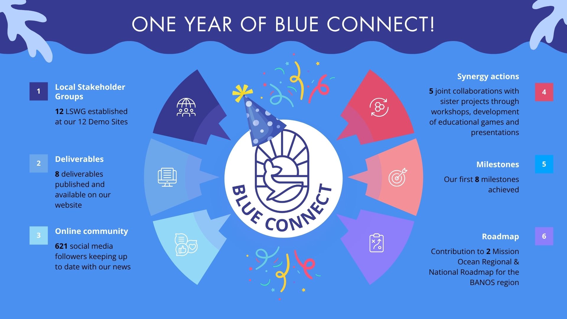 Blue Connect 1 year