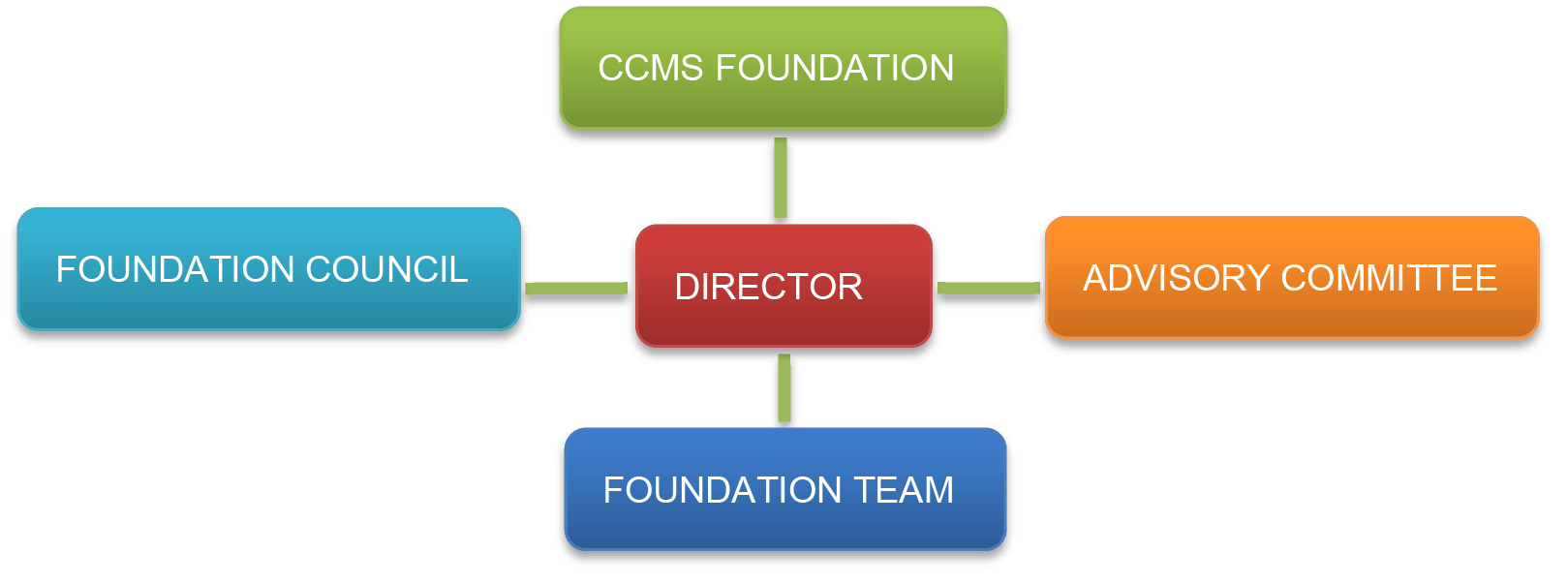 CCMS Governance Structure