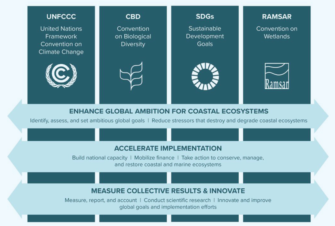 Coastal Blue Carbon Ecosystems Scheme