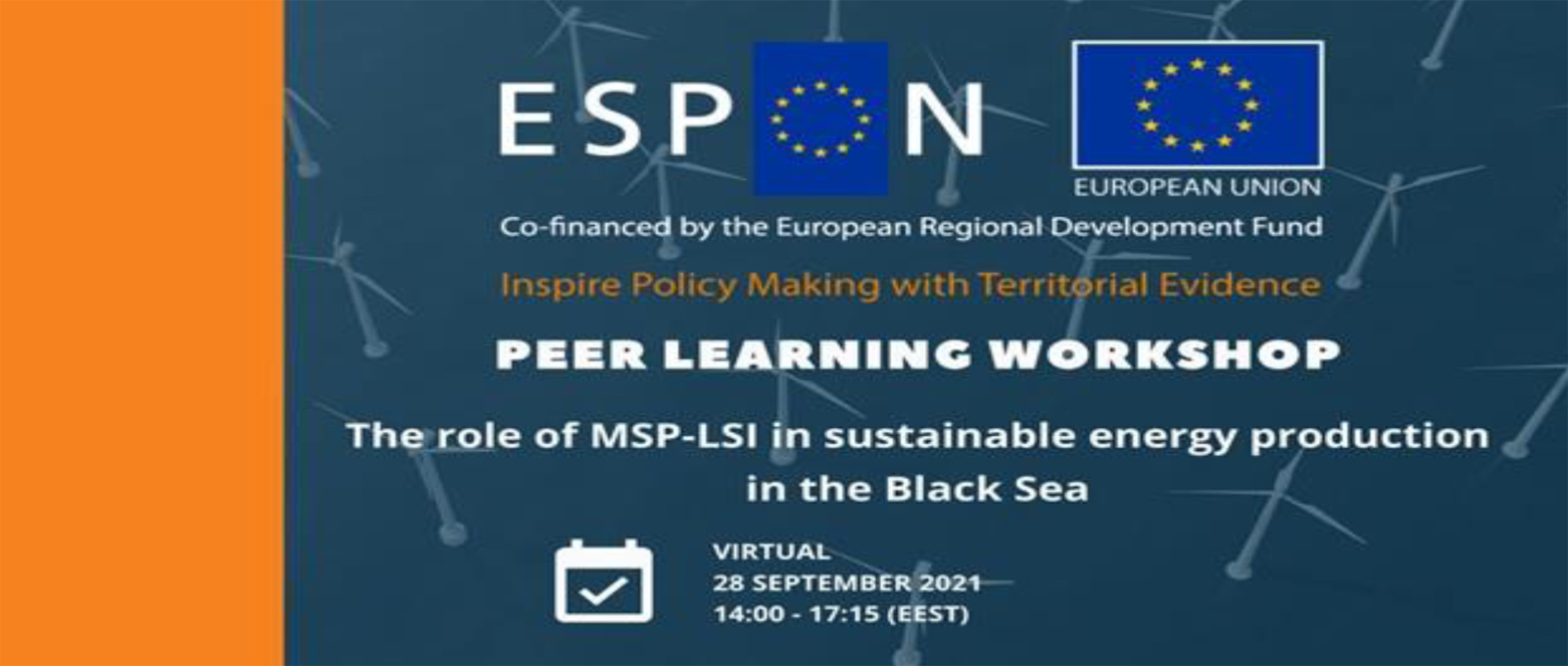 ESPON PRW MSP LSI