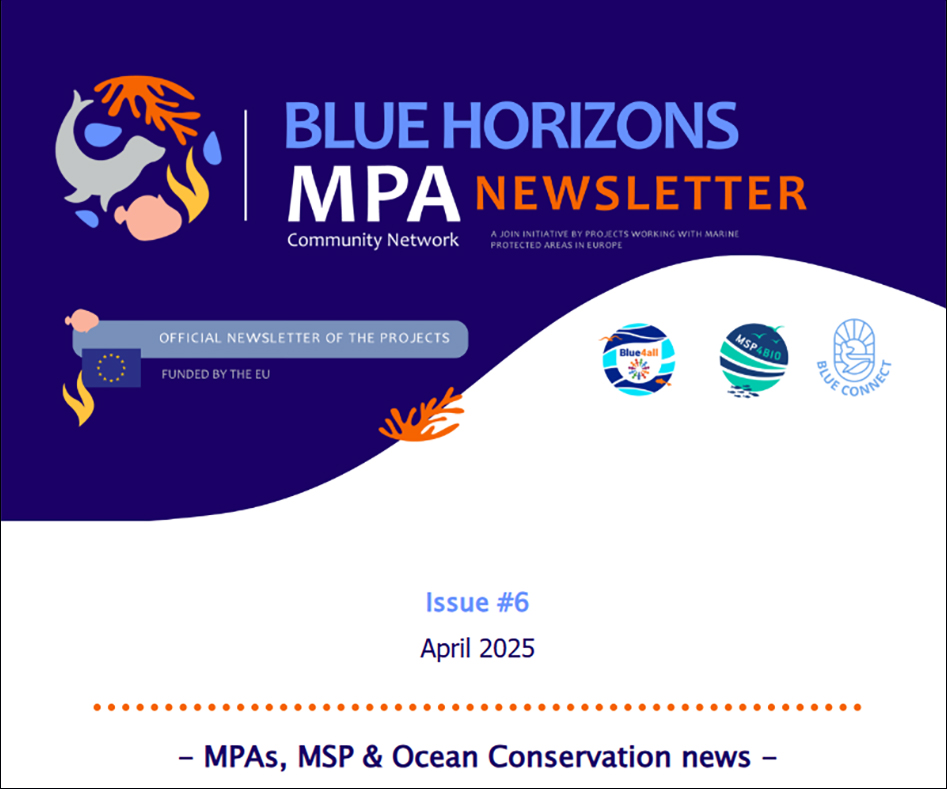 Issue 6 April 2025