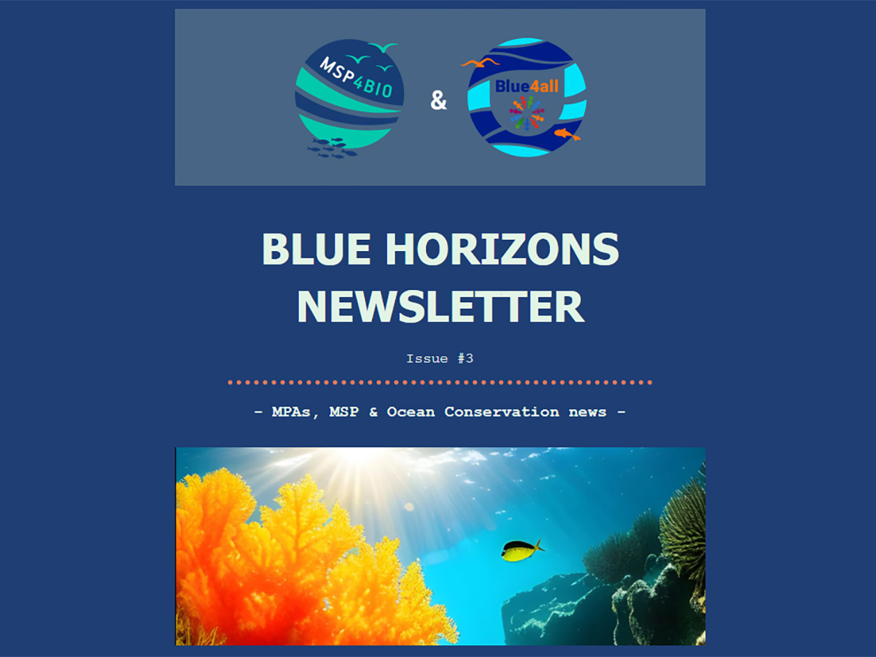 MSP4BIO newsletter 03